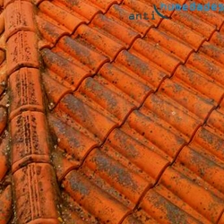 Limpiador antihumedades para tejados, fachadas y suelos