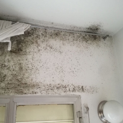Pintura antihumedades de silicato y térmica Idroless