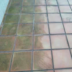 Limpiador de humedades Idroless para suelos con verdín