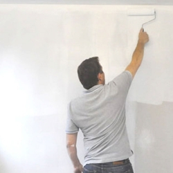 Imprimación fijadora Idroless para pintura de cal