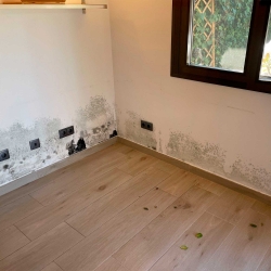 Pintura de cal antimoho para interiores