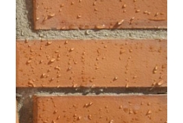 Hidrófugos incoloros que cortan de manera eficaz el paso a la humedad sin cambiar el color, brillo o aspecto inicial de los materiales